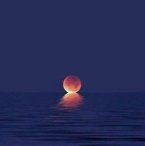 Meet your Posher, Wanda